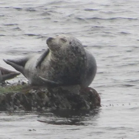 Mary Joe's * Kilronan (Inishmore)