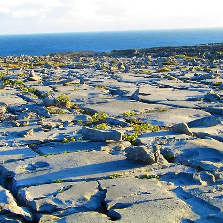 Mary Joe's Oda ve Kahvaltı *