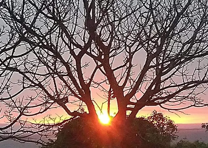 Mary Joe's Bed & Breakfast